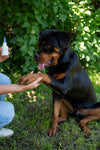 Ohrenputzer 50ml – Hören leicht gemacht