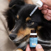 Augentropfen für Tiere 10ml – Schön dich zu sehen!