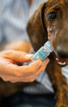 Augentropfen für Tiere 10ml – Schön dich zu sehen!