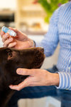 Augentropfen für Tiere 10ml – Schön dich zu sehen!