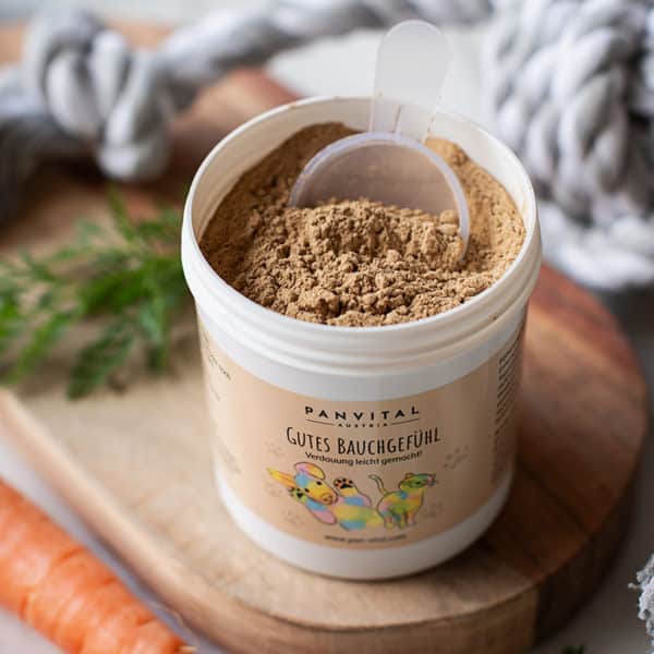 "Gutes Bauchgefühl 150g" - Verdauung leicht gemacht! – Bild 6